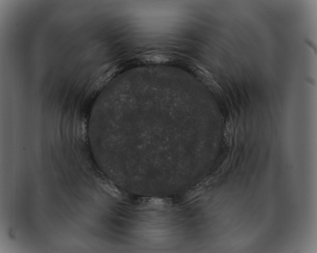 X0000091730330200709211025