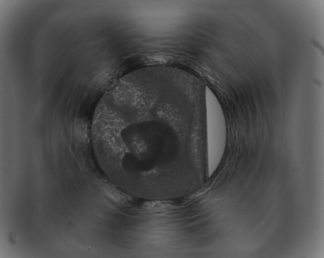 X0000091730331200709211025