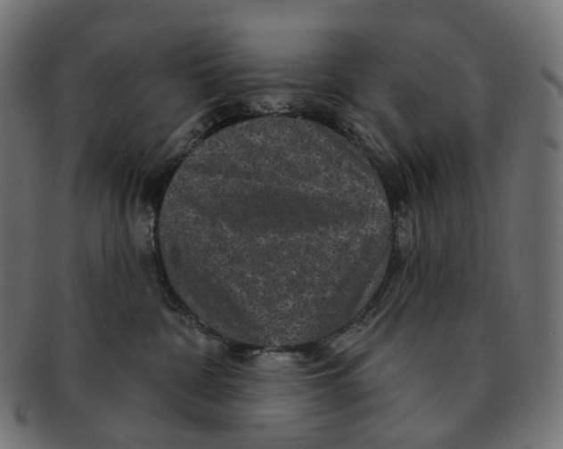 X0000091730332200709211025