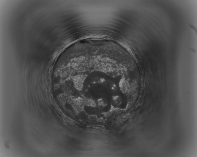 X0000091730337200709211024