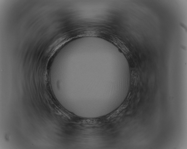 X0000091730338200709211024