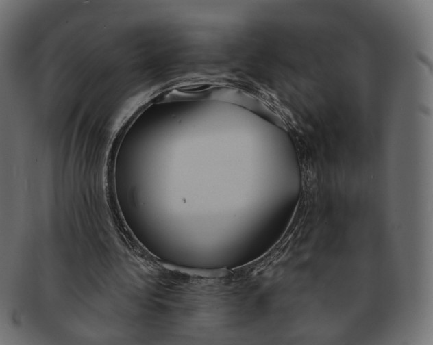 X0000091730340200709211024