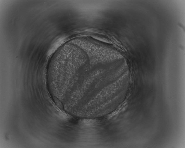 X0000091730341200709211024