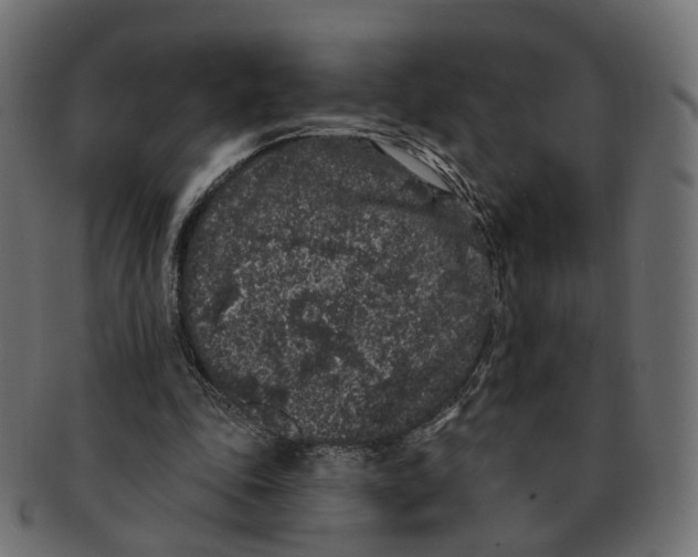 X0000091730343200709211024