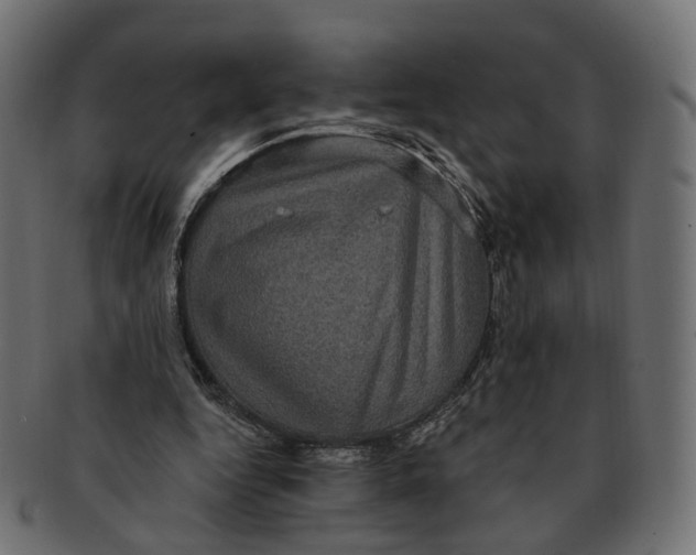 X0000091730344200709211024