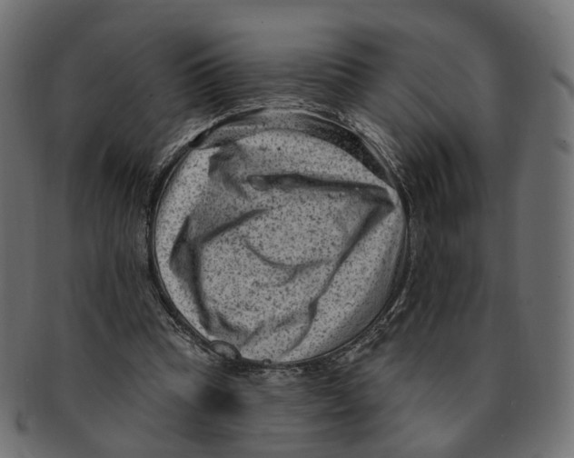 X0000091730345200709211024