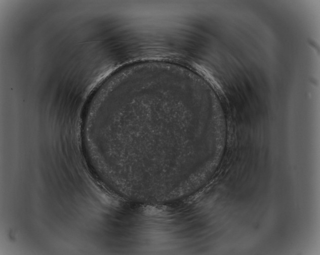 X0000091730346200709211024