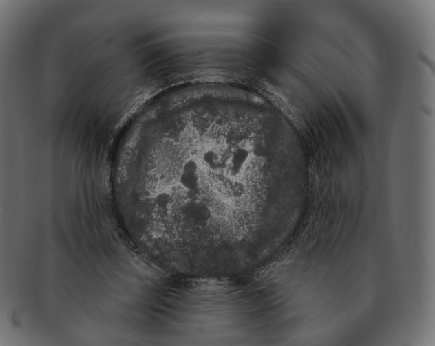 X0000091730347200709211024