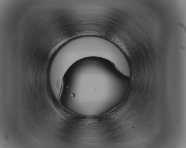 X0000091730348200709211024