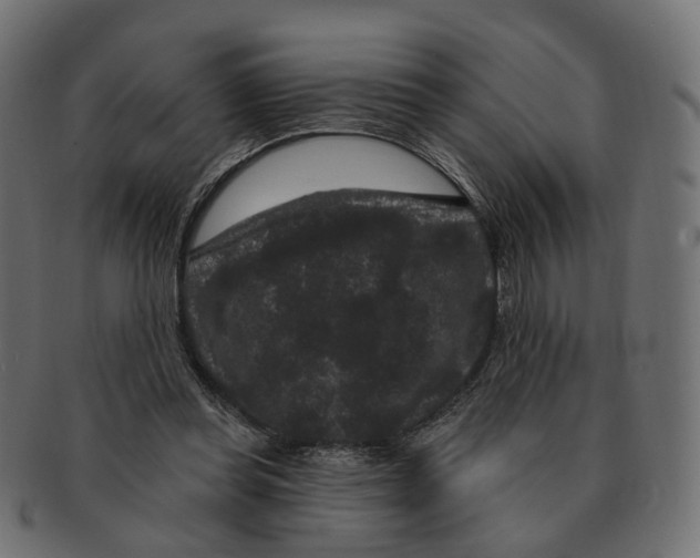 X0000091730349200709211024