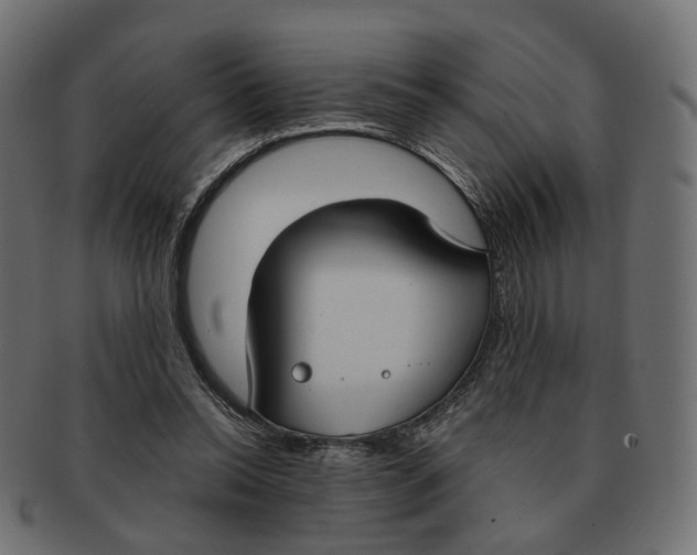 X0000091730350200709211024