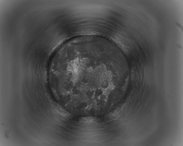 X0000091730351200709211024