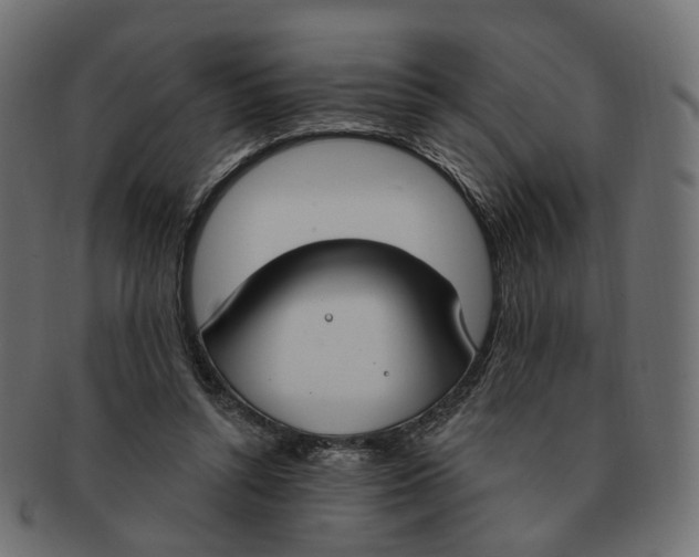 X0000091730352200709211024