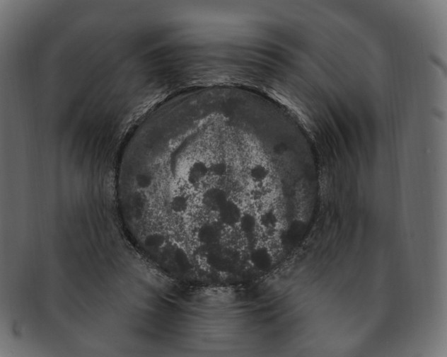 X0000091730353200709211024