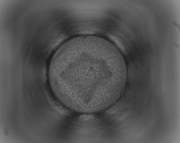 X0000091730354200709211024