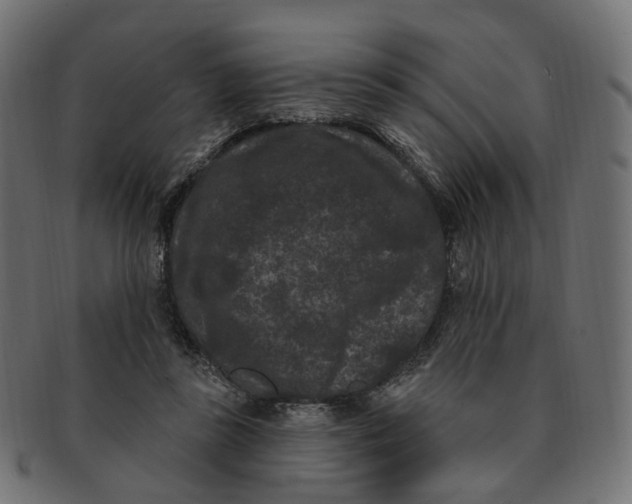 X0000091730355200709211024