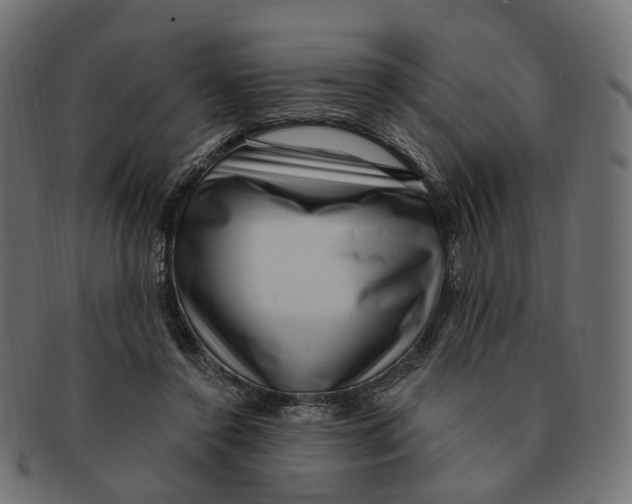 X0000091730356200709211024