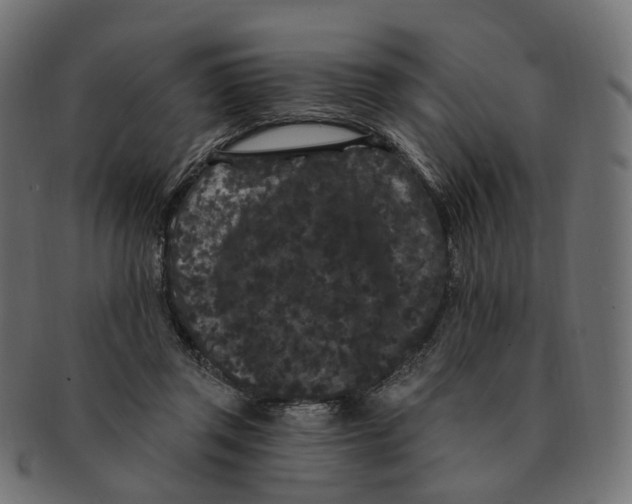 X0000091730357200709211024