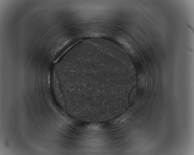 X0000091730358200709211024