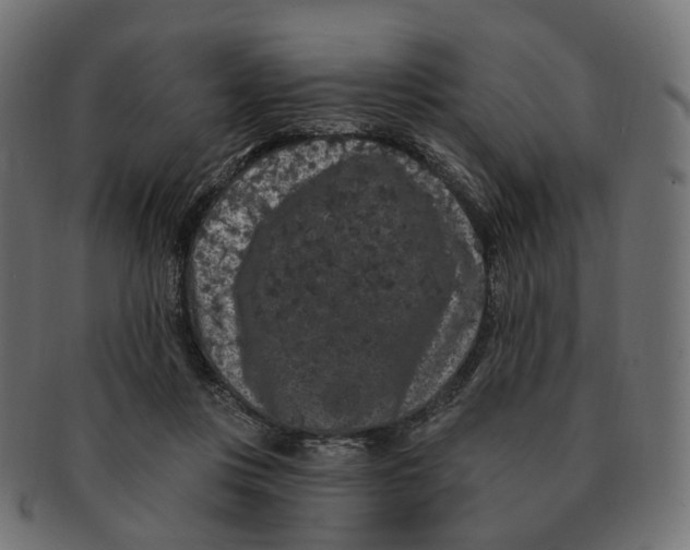 X0000091730359200709211024