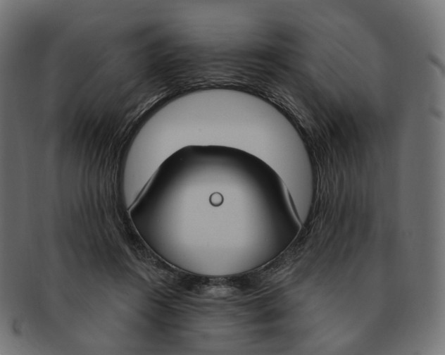 X0000091730360200709211024