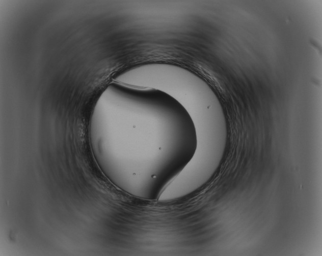 X0000091730362200709211024