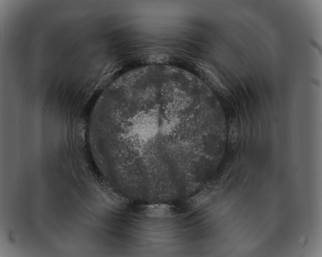 X0000091730363200709211024