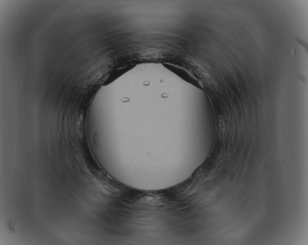 X0000091730364200709211024