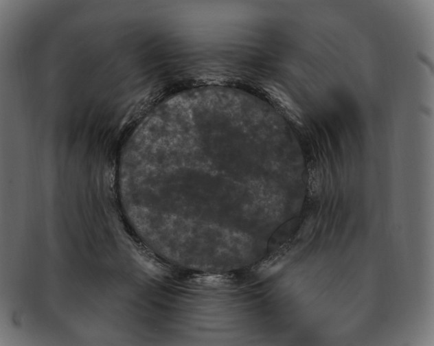 X0000091730365200709211024