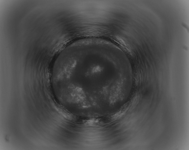 X0000091730366200709211024