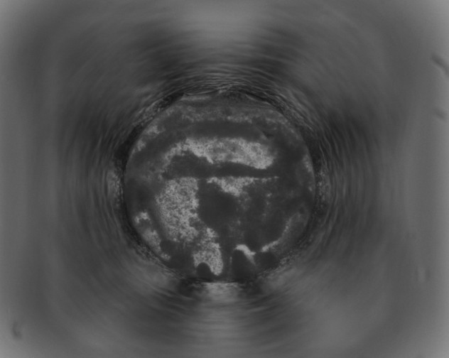 X0000091730371200709211025