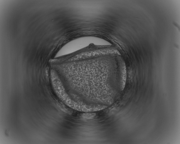 X0000091730373200709211025