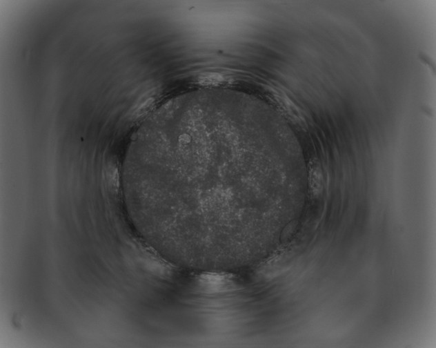 X0000091730375200709211025