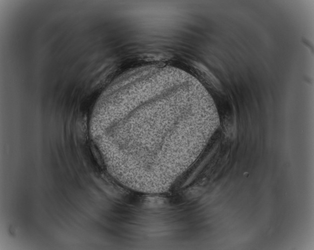 X0000091730376200709211025