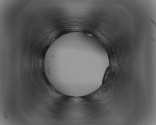 X0000091730379200709211025