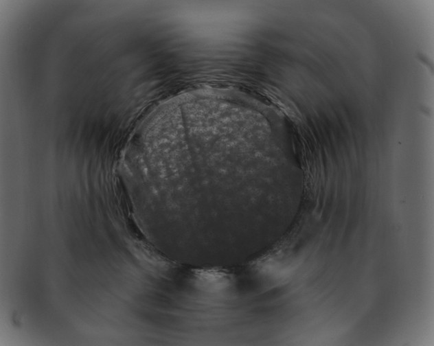 X0000091730380200709211025