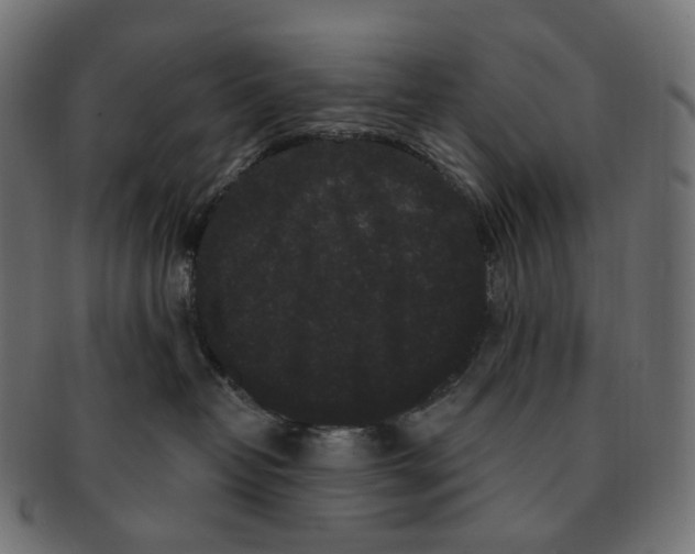 X0000091730382200709211025