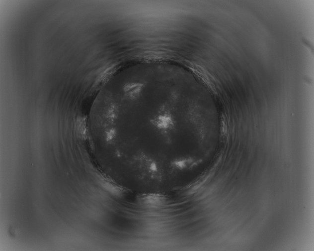 X0000091730383200709211025