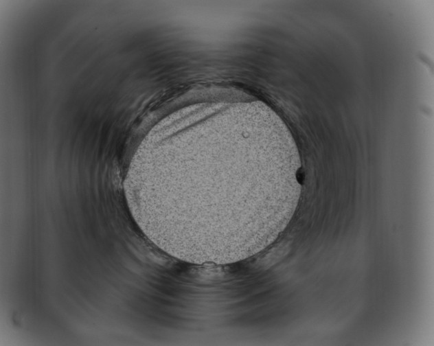 X0000091730384200709211025