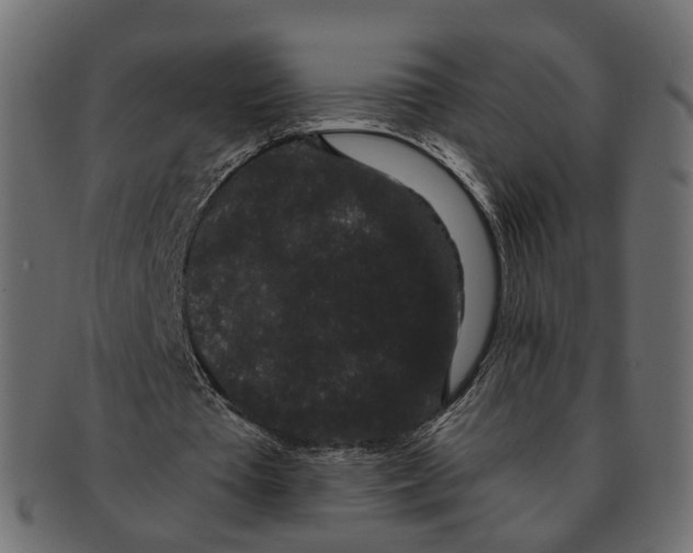 X0000091730385200709211024