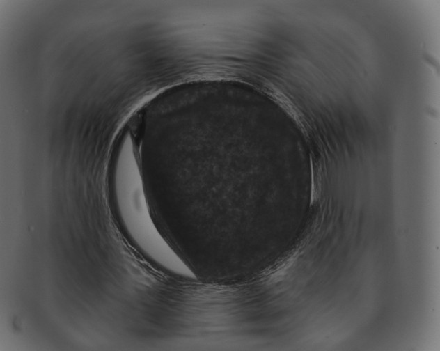 X0000091730387200709211024