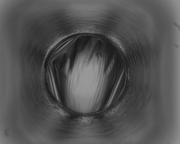 X0000091730388200709211024