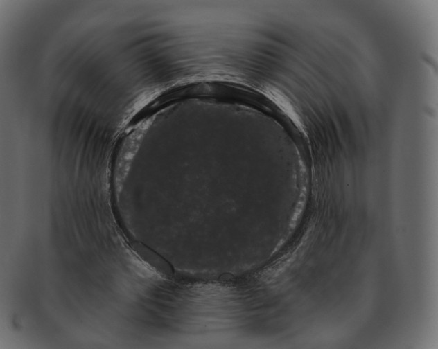 X0000091730389200709211024