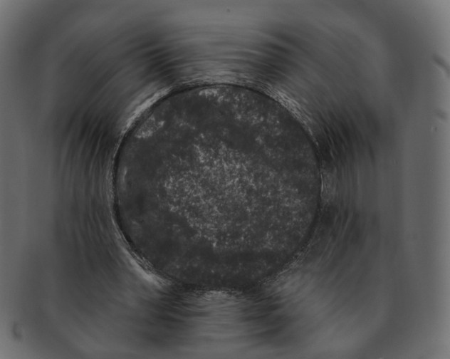 X0000091730390200709211024