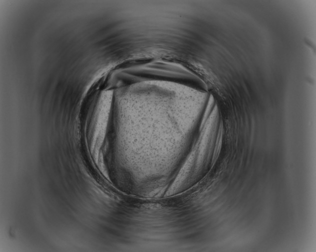 X0000091730392200709211024