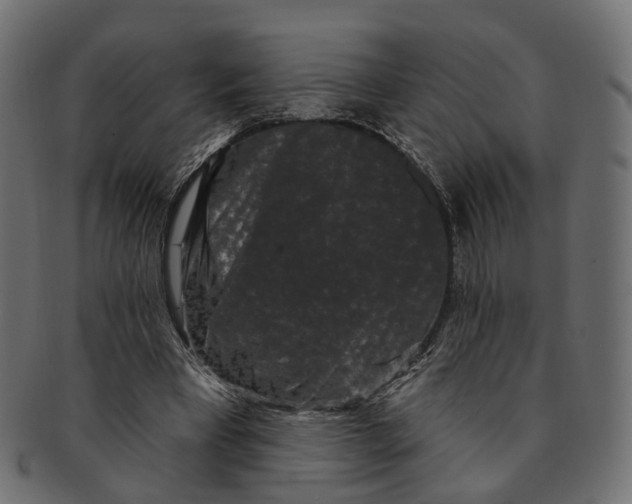 X0000091730393200709211024