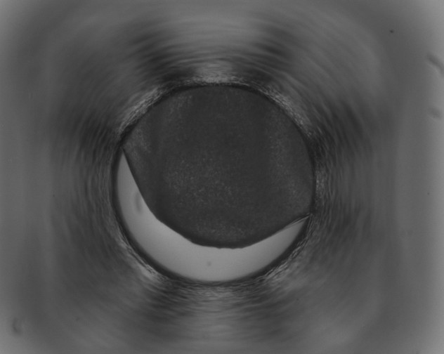 X0000091730397200709211024