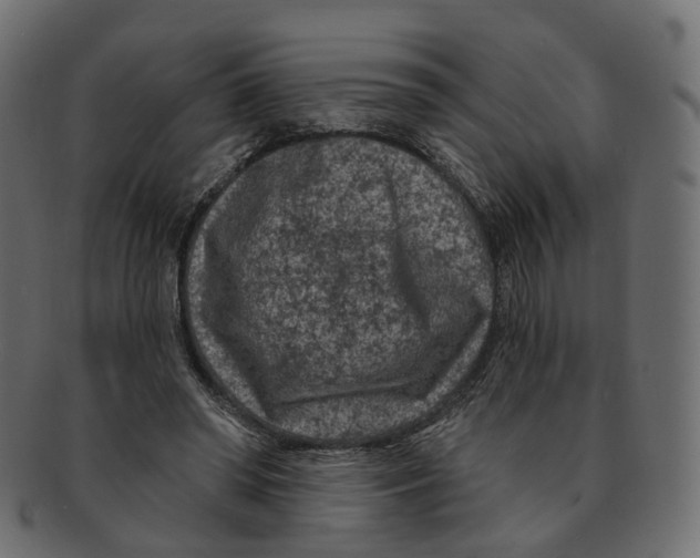 X0000091730398200709211024