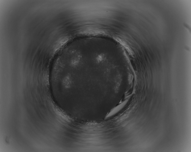 X0000091730399200709211024