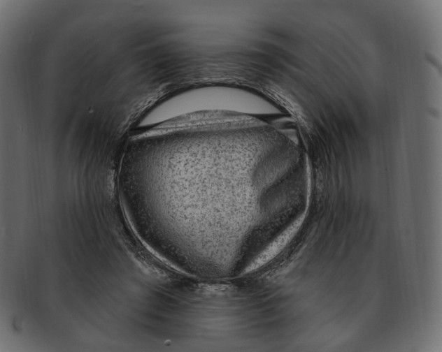 X0000091730401200709211024